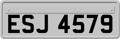 ESJ4579