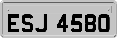 ESJ4580