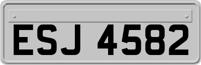 ESJ4582