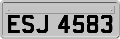 ESJ4583