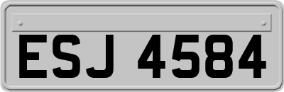 ESJ4584