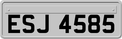 ESJ4585