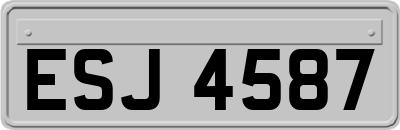 ESJ4587
