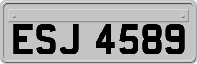 ESJ4589