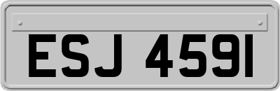 ESJ4591