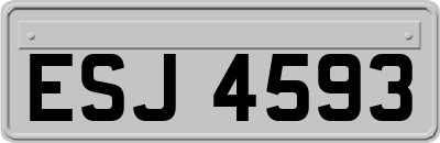 ESJ4593