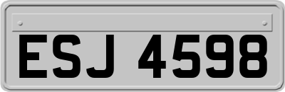 ESJ4598