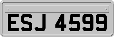 ESJ4599