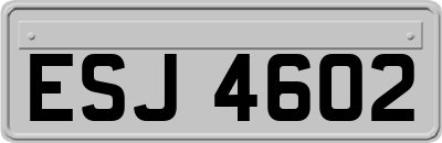 ESJ4602