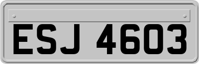 ESJ4603