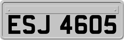 ESJ4605