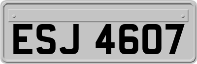 ESJ4607