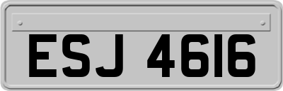 ESJ4616