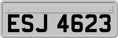 ESJ4623
