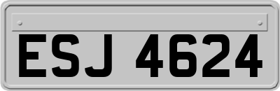 ESJ4624