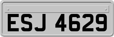 ESJ4629