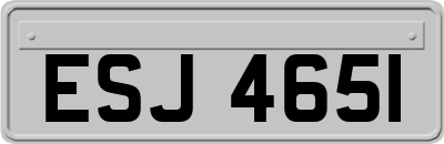 ESJ4651