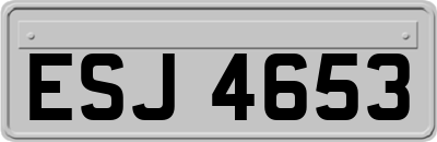 ESJ4653