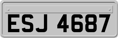 ESJ4687