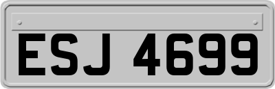 ESJ4699