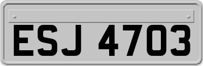 ESJ4703