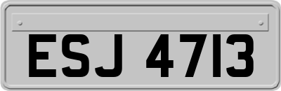ESJ4713