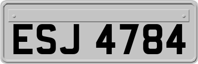 ESJ4784