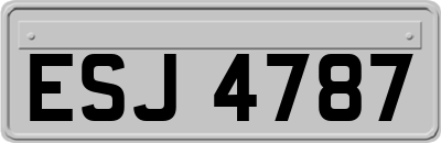 ESJ4787