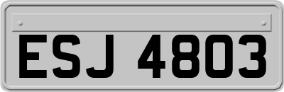 ESJ4803