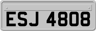 ESJ4808