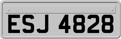 ESJ4828