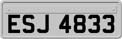 ESJ4833