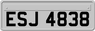 ESJ4838