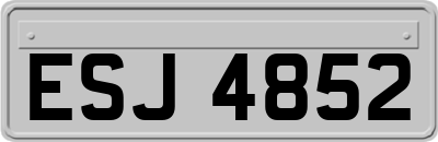 ESJ4852