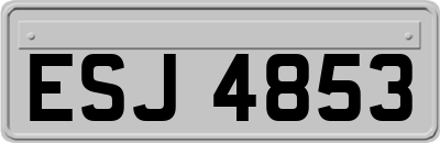 ESJ4853