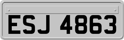 ESJ4863