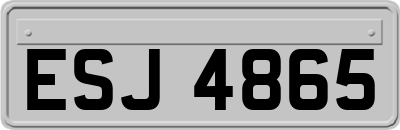 ESJ4865