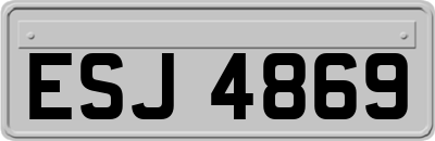 ESJ4869