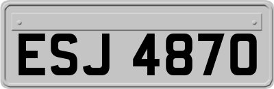ESJ4870