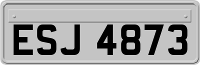 ESJ4873