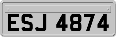 ESJ4874