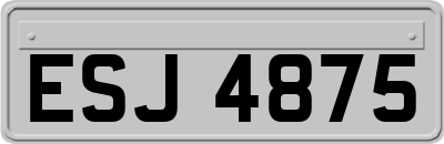 ESJ4875