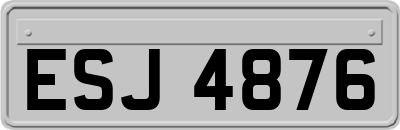 ESJ4876