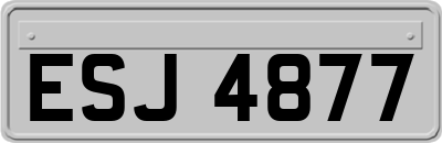 ESJ4877