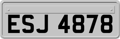 ESJ4878