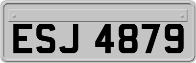 ESJ4879