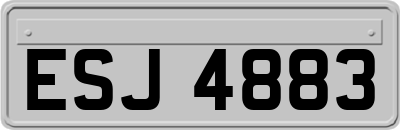 ESJ4883