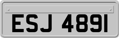 ESJ4891