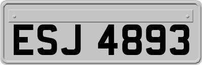 ESJ4893