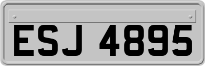 ESJ4895